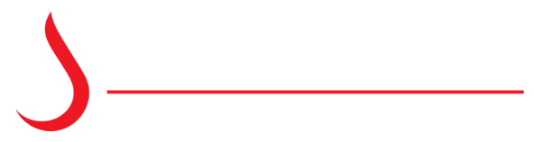 Vinayak Engineering Logo
